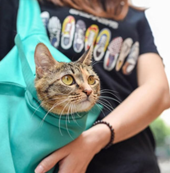 Bolsa Transporte Gatos Portátil 🐾-STK56