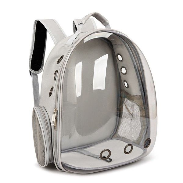 Mochila Transparente Mascotas 🐶🐱-STK-962
