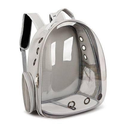Mochila Transparente Mascotas 🐶🐱-STK-962