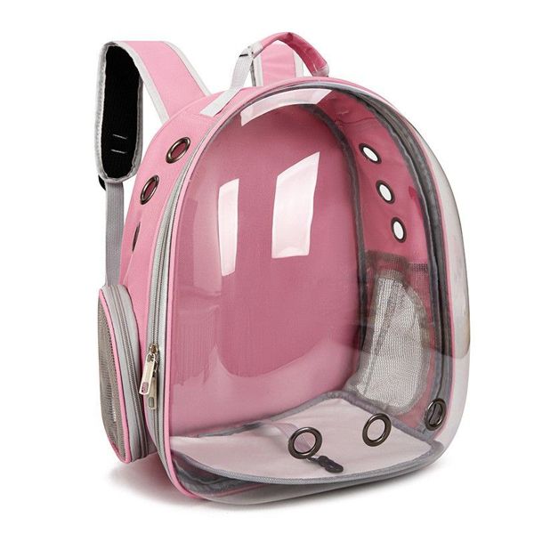 Mochila Transparente Mascotas 🐶🐱-STK-962